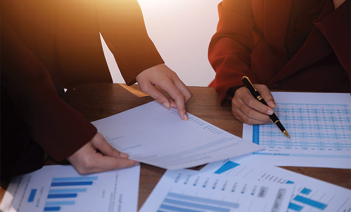 CapEx Efficiency Services